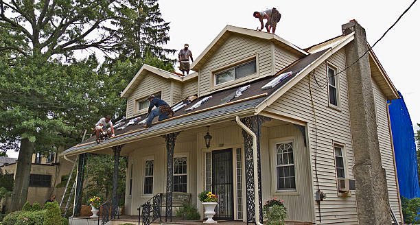 Best Roof Maintenance Services  in Willards, MD
